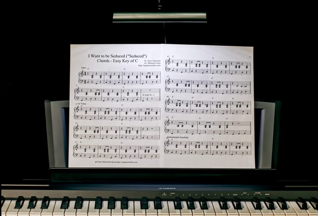 piano lesson, music, keyboard-422832.jpg